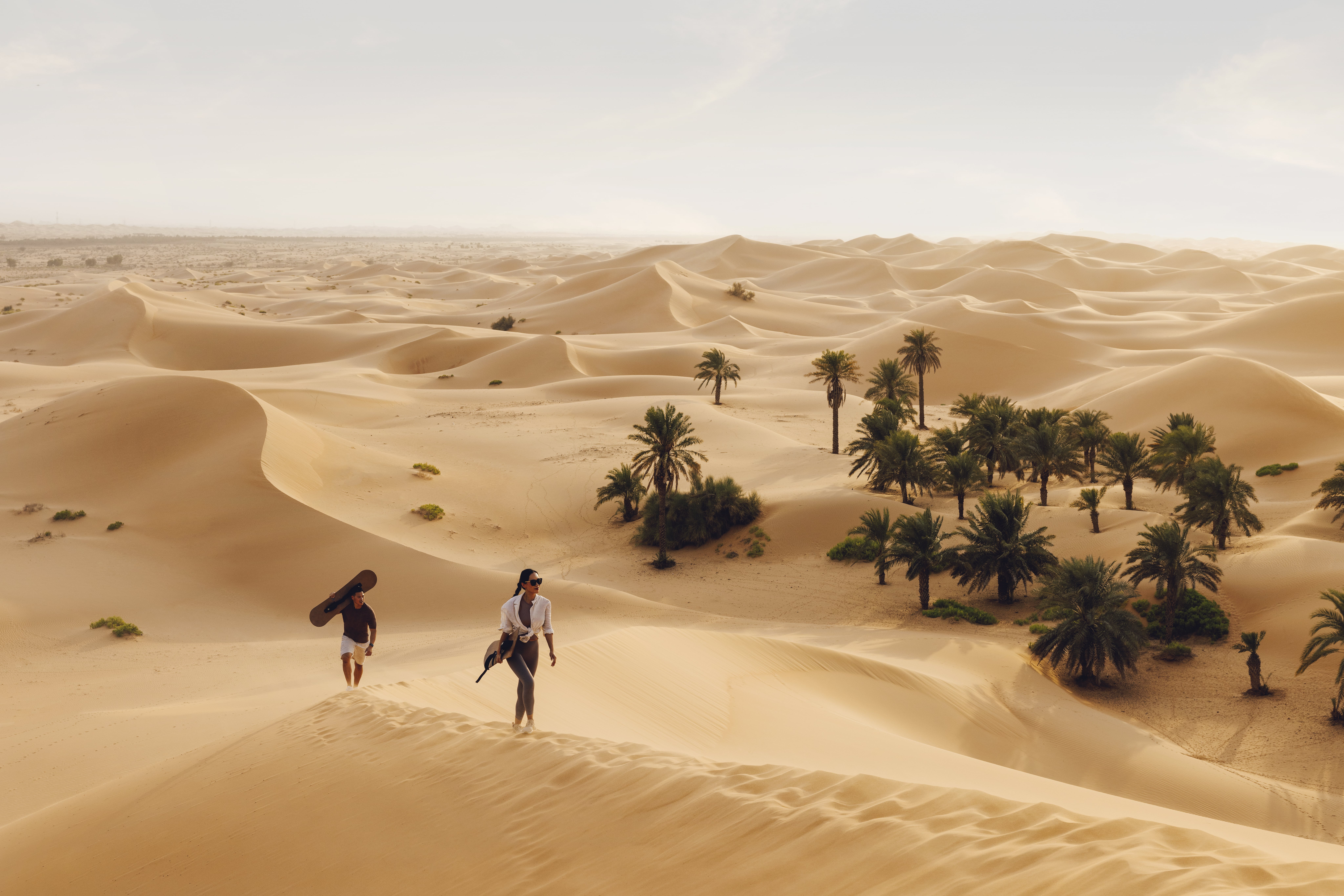 Desert Safari