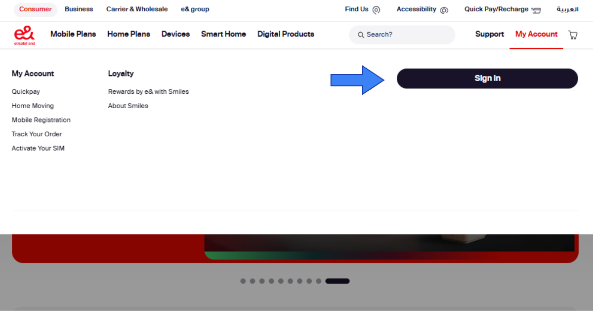 Etisalat Balance Check via Official Website