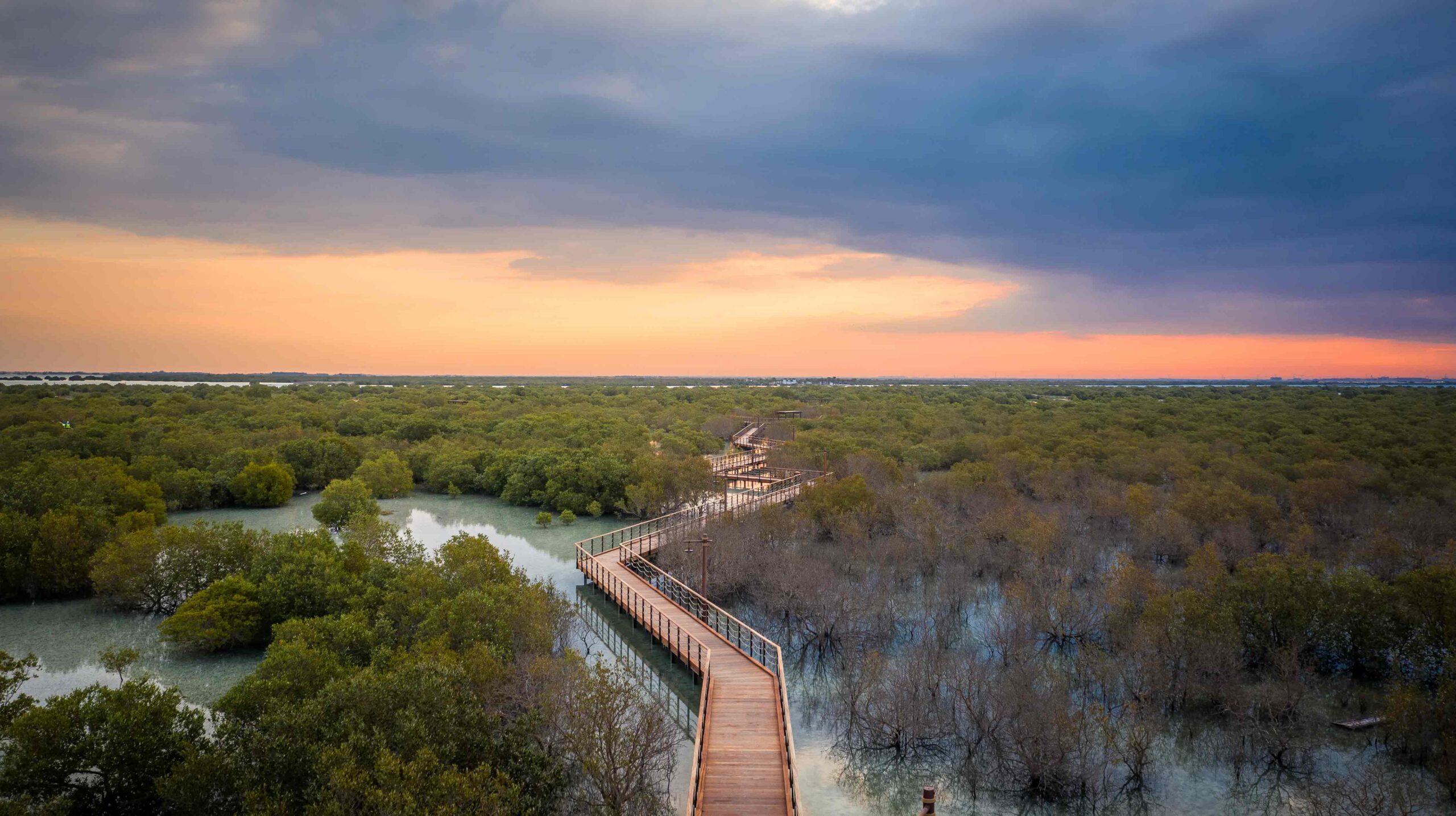 Mangrove National Park